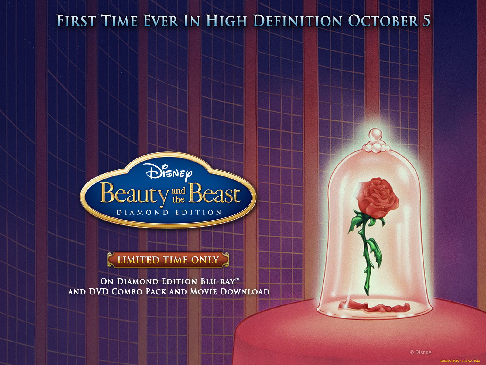 , beauty, and, the, beast